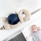 Zazu, Wydra Otto, projektor oceanu