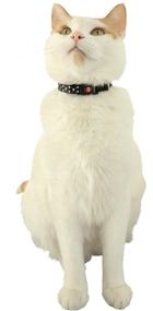 Zolux, Chatouille, obroża dla kota z zawieszką w kształcie myszy, czarna