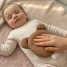 Bocioland, Miś, termofor z pestek wiśni z lawendą, wafel, brązowy