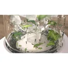 Philips, blender kielichowy, HR2500/00