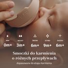 Lovi, Mammafeel, smoczek dynamiczny do karmienia, średni przepływ, 6m+