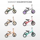Toyz, Fox, rowerek trójkołowy, biegowy, turquoise