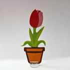 Alexander, Sand Art, Piaskowe Malowanki, Zajączek