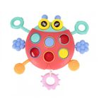 Bam Bam, zabawka sensoryczna, biedronka