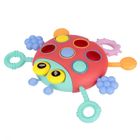 Bam Bam, zabawka sensoryczna, biedronka