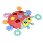 Bam Bam, zabawka sensoryczna, biedronka