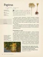 50 roślin, które zmieniły bieg historii