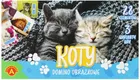 Alexander, domino obrazkowe, gra familijna, Koty, 28 elementów