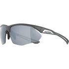 Alpina, Nylos Hr, okulary, szary mat