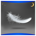 Always, Maxi Secure Night, podpaski ze skrzydełkami, rozmiar 4, x6