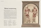 Anatomicum