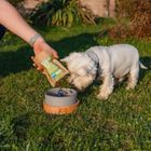 Animal Island, łosoś premium, karma sucha dla psów, 12 kg