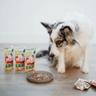 Animal Island, wołowina fileciki w rosole, karma mokra dla psa, 150g, 10 szt.