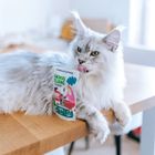 Animal Island, wołowina w rosole, karma mokra dla kota, 85g, 40 szt.