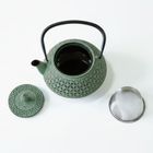 Aromelio, Sabi, czajnik żeliwny z zaparzaczem, 1000 ml