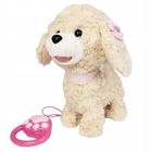 Artyk, Natalia, piesek chodzący na smyczy