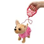 Askato, piesek chodzący, zabawka interaktywna, chihuahua