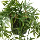 Atmosphera, Liora, bambus wiszący w doniczce, 67 cm