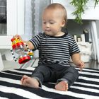 Baby Einstein, Cal's Sensory Shake-up, grzechotka sensoryczna
