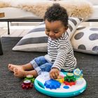 Baby Einstein, Mała Symfonia, zabawka interaktywna