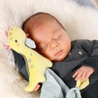 BabyFehn, Wesoły Dinozaur, pierwsza przytulanka