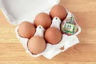 Bandai, Tamagotchi Eco, zabawka interaktywna, Celebration Egg