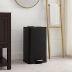 Bathroom Solutions, Delta, kosz na śmieci, metalowy, czarny, 30l