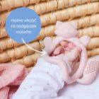 b.box, Lisek, gryzak na nadgarstek, blush