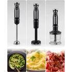 Berdsen, blender ręczny, 1500W, BD-754