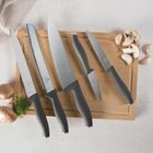 Berlinger Haus, Anthracite, zestaw noży kuchennych z deską, 5 szt.