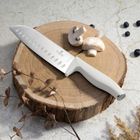 Berlinger Haus, Sahara, zestaw 5 noży kuchennych z listwą, 5 szt.