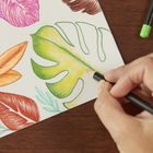 Bic, Intensity Premium, kredki ołówkowe, 12 kolorów