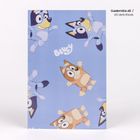 Bluey, zestaw artykułów piśmienniczych