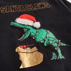 Bluza chłopięca, ciemnoszara, Tom Tailor