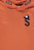 Bluza chłopięca z kapturem, pomarańczowa, Tom Tailor