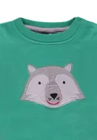 Bluza chłopięca, zielona, Tom Tailor