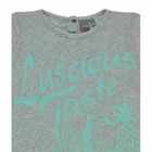 Bluzka dziewczęca z krótkim rękawem, szara, Kanz