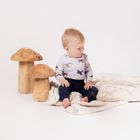 Body chłopięce z długim rękawem, szare, Nicol