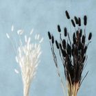 Boltze Home, ozdobne gałązki do wazonu, suszone, 70 cm