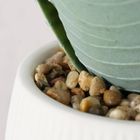 Boltze Home, sztuczna roślina aloes w donicze, Mondrago, 29 cm