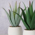 Boltze Home, sztuczna roślina aloes w donicze, Mondrago, 29 cm