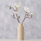 Boltze, wazon ceramiczny, Captura, 21 cm