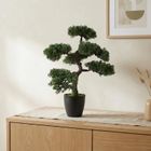 Botanical Decoration, sztuczne drzewko bonsai w doniczce, 32-32-50 cm