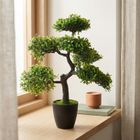 Botanical Decoration, sztuczne drzewko bonsai w doniczce, 32-32-50 cm