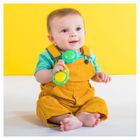 Bright Starts, podwójna grzechotka