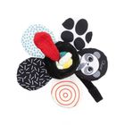 Chicco, Baby Sense & Focus, Kwiatuszek, kontrastowa zawieszka