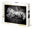 Clementoni, High Quality, Kotek, puzzle, 1000 elementów