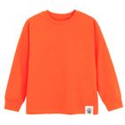 Cool Club, Bluza chłopięca, mix, zestaw, 2 szt.