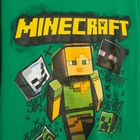 Cool Club, Bluzka chłopięca z długim rękawem, zielona, Minecraft