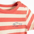 Cool Club, Body chłopięce z krótkim rękawem, mix, zestaw, 2 szt.